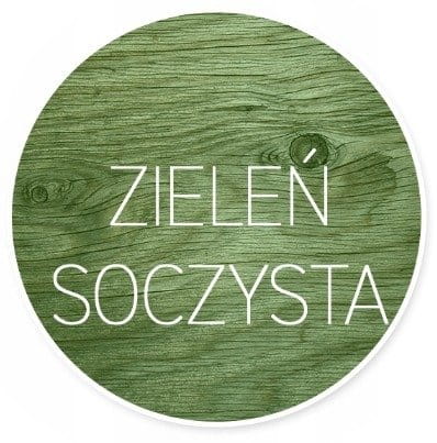 Patyna vintage do drewna - zieleń soczysta 159 #2