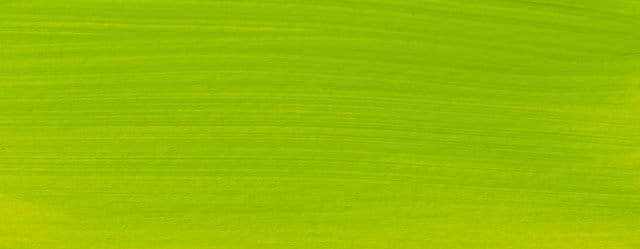 Farba akrylowa Talens Amsterdam 120ml - 617 yellowish green #2