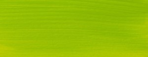 Farba akrylowa Talens Amsterdam 120ml - 617 yellowish green #2