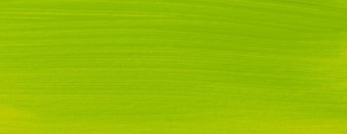 Farba akrylowa Talens Amsterdam 120ml - 617 yellowish green #2