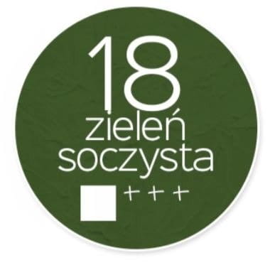 Farba akrylowa Renesans 200ml - 18 zieleń soczysta #2