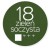 Farba akrylowa Renesans 200ml - 18 zieleń soczysta #2