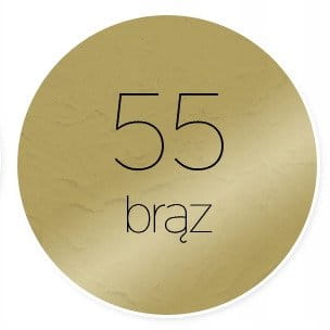 Farba metaliczna Renesans Maxi Acril 60ml - 55 brąz #2