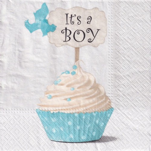 Serwetka 33x33cm -  It's a Boy #1
