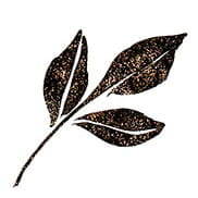 Pisak Wink of Stella Brush - Black - ZIG Kuretake czarny #2