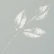 Pisak Wink of Stella Brush - Clear - ZIG Kuretake przezroczysty  #2