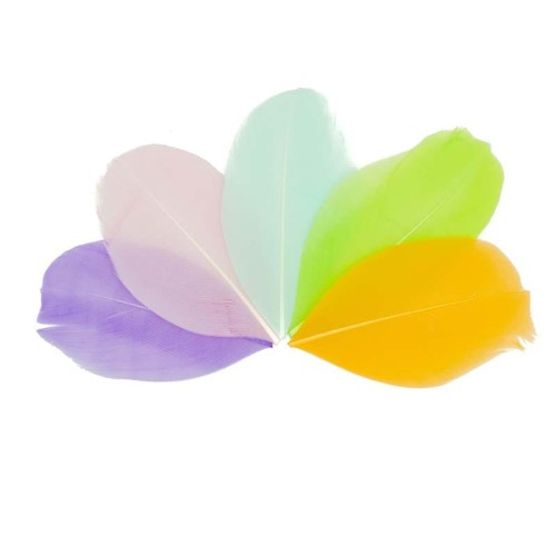 Piórka dekoracyjne - mix 4, 10 gr #2