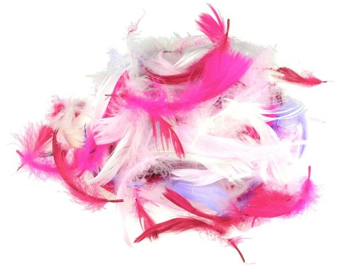 Piórka  dekoracyjne 10g - mix 2 #1