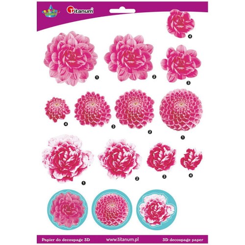 Papier z elementami do tworzenia dekoracji 3D - format A4 #1