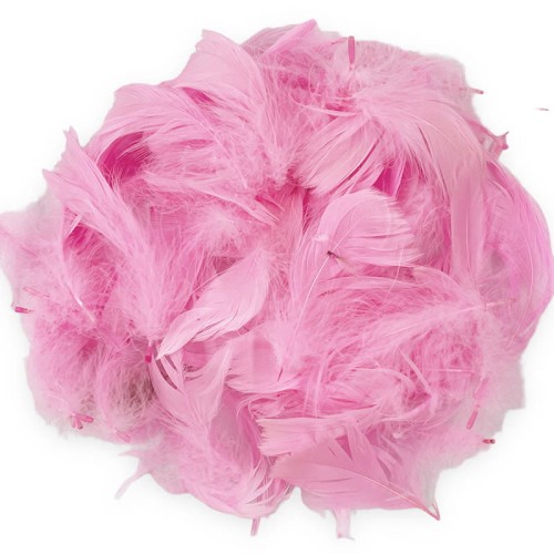 Piórka dekoracyjne 6-12cm 10g różowe - Loveart #1