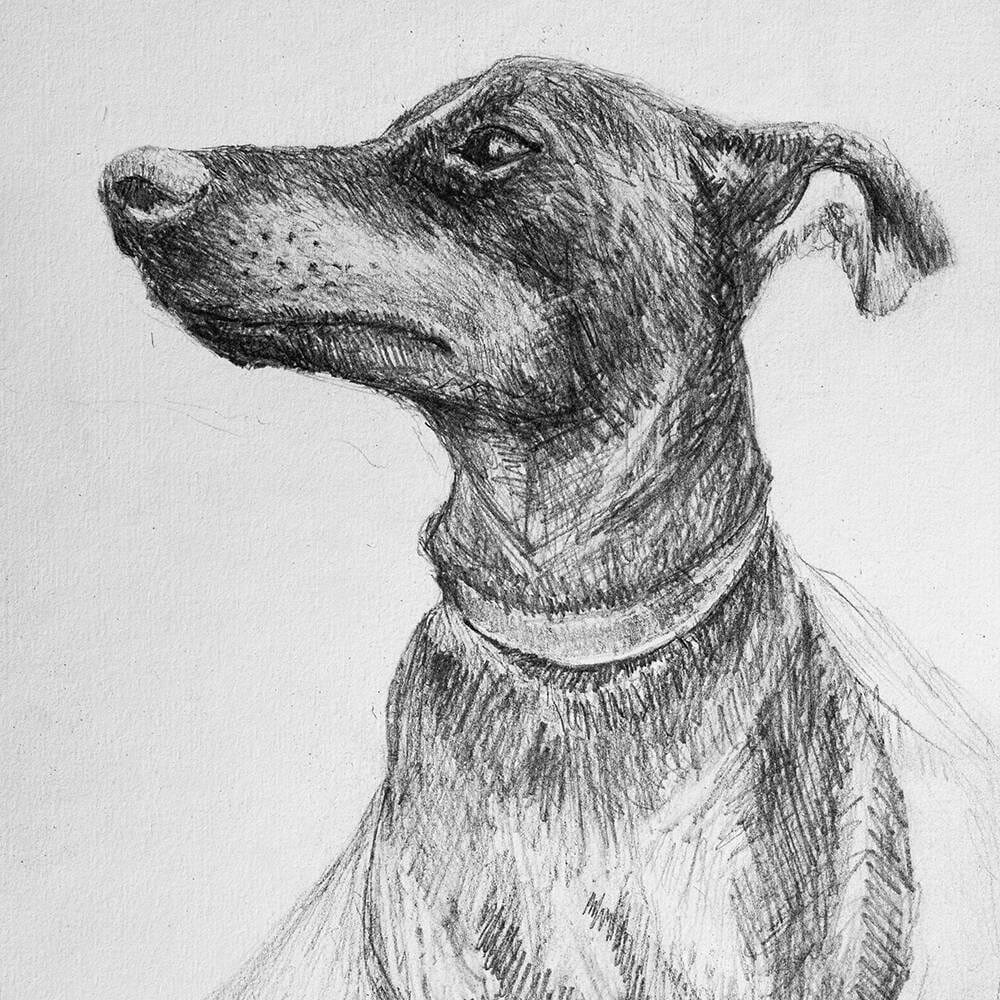 Szkicownik Sketch PAD 190x270mm 160g 20 arkuszy A4 #6