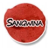 Tusz rysunkowy Renesans 20ml - sangwina #2