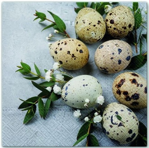 Serwetka do Decoupage 33x33cm - Natural eggs #1