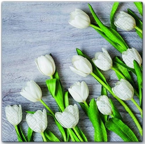 Serwetka do Decoupage 33x33cm - White Tulips #1