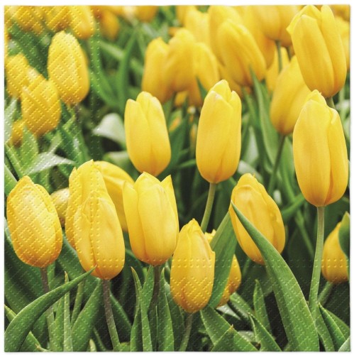 Serwetka do Decoupage 33x33cm - Tulips Field #1