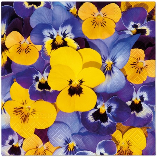 Serwetka do Decoupage 33x33cm - Looking Pansies #1