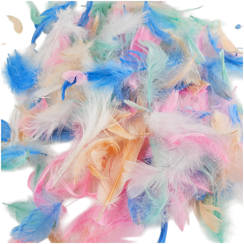 Piórka dekoracyjne  6-12cm Loveart 5 kolorów #1