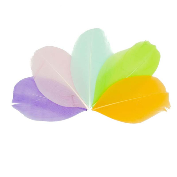 Piórka dekoracyjne - mix 4, 10 gr