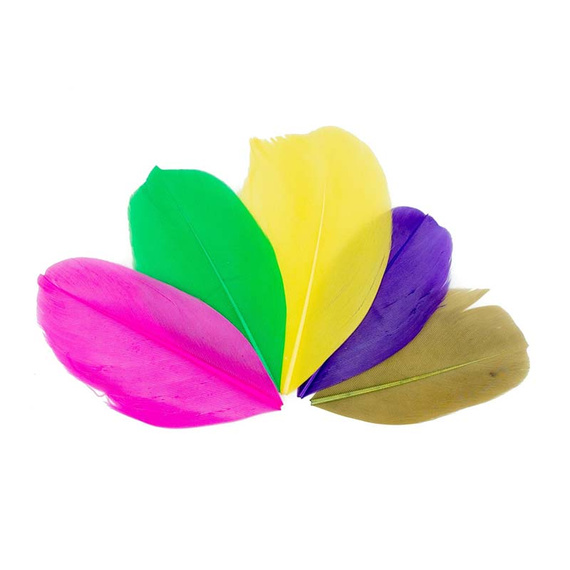 Piórka dekoracyjne - mix 4, 10 gr