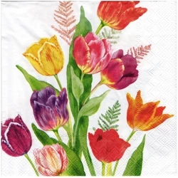 Serwetka 33x33cm - Bright Tulips tulipany