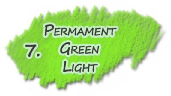 Pastel w kredce Gioconda Koh-I-Noor 7. Permanent Green Light