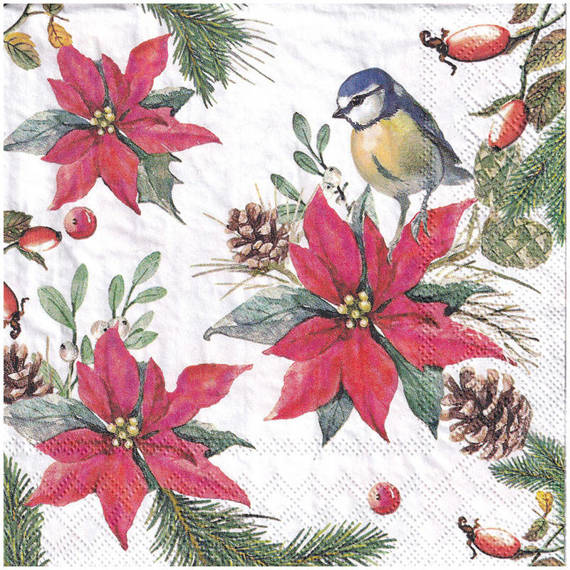 Serwetka 33x33cm - Bird on Poinsettia White poinsecja