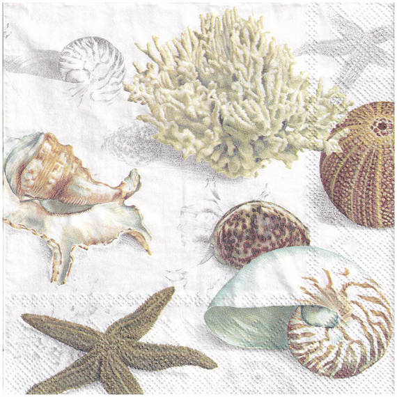 Serwetka 33x33cm - Clams at the Beach muszle