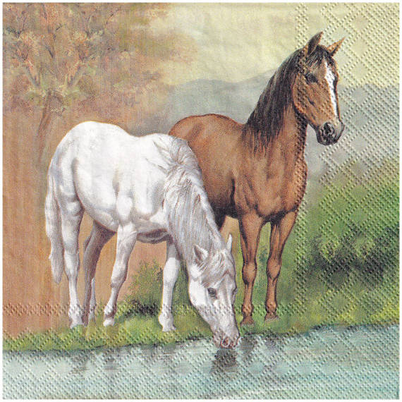 Serwetka 33x33cm - Horses konie